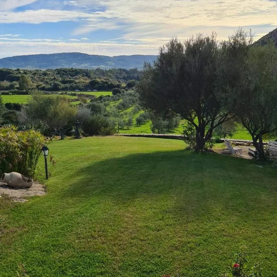 Case Vacanze Nioleo - Apartments And Pool